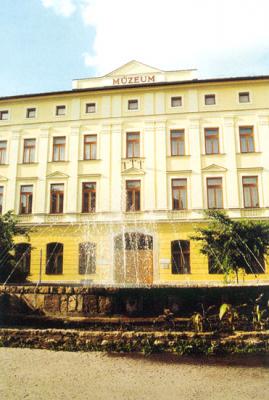 © Jász-Nagykun-Szolnok Megyei Múzeumok Igazgatósága - Damjanich János Múzeum