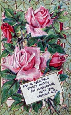 Rose-picture