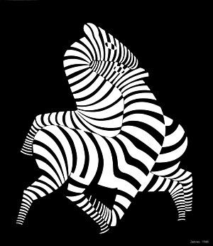 Zebras