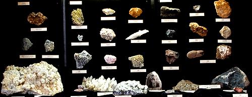 A taste of the exhibition