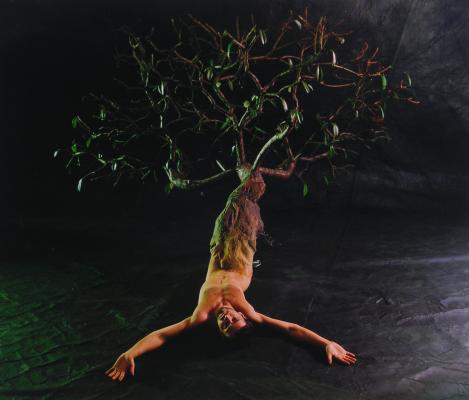 Gyenis Tibor: Az Hommage á Ana Mendieta sorozatból, 1999.