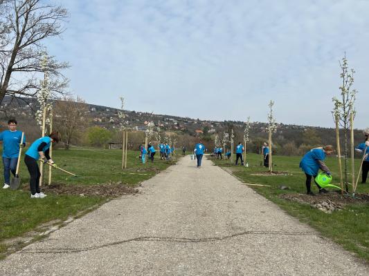 Elkötelezettség a társadalmi felelősségvállalás mellett