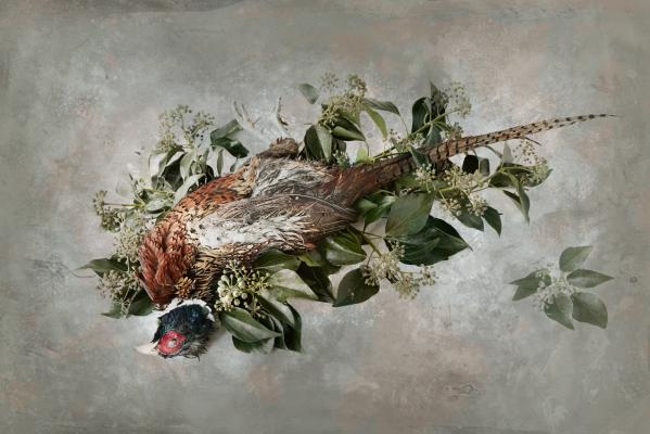 Peter Medsen Pheasant memento