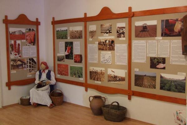 Röszkei Paprika Park - Paprika Üzem és Múzeum