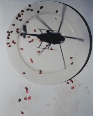 Szacsva Y Pál (1967-): Reprojekció XXXIII, 2001