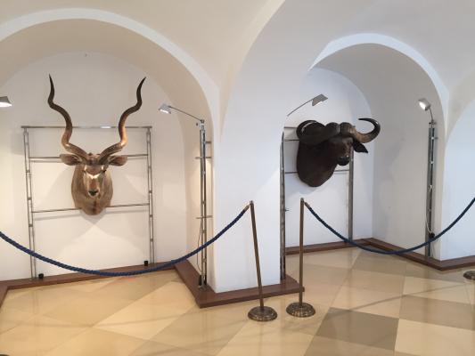 A Szahara nemesei, enteriőr