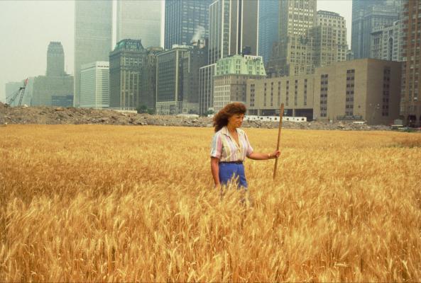 Wheatfield – A Confrontation: Battery Park Landfill, Downtown Manhattan – With Agnes Denes Standing in the Field, 1982
