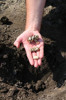 Aranykincs egy debreceni ásatáson