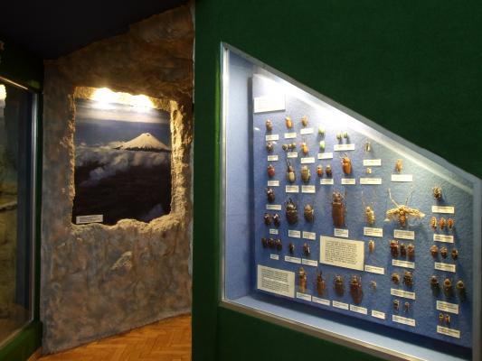 Részlet a kiállításból