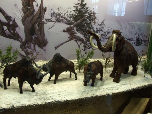 Részlet a kiállításból