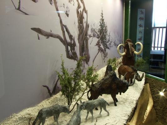 Részlet a kiállításból