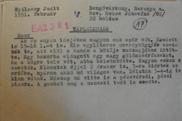 Néprajzi interjú cédulája az erdei szamóca gyűjtéséről a JPM Néprajzi Osztályának adattárából