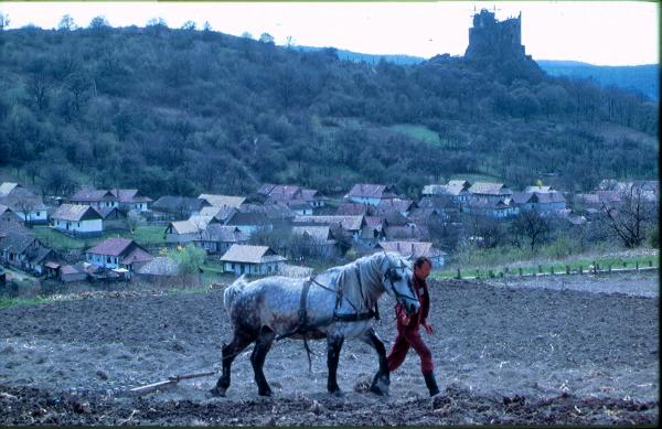 Földművelés lóval, háttérben a palóc falu látképe, 1970-80