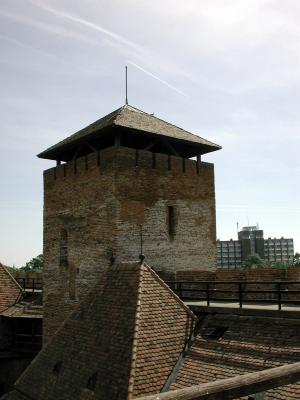 A gyulai vár