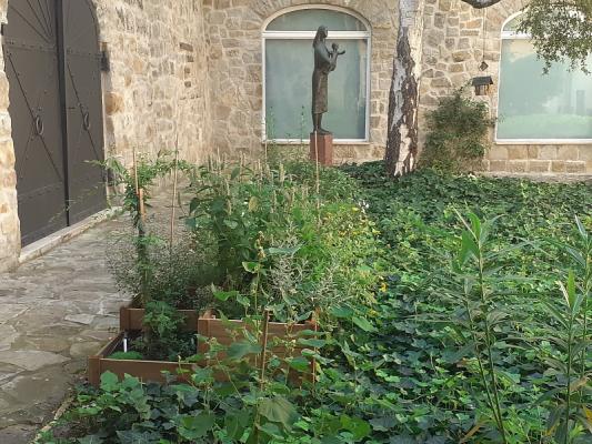 Herbárium a Semmelweis Orvostörténeti Múzeum belső udvarán