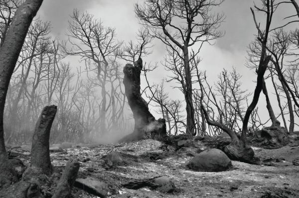 Katyn, fotókiállítás