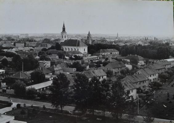 Kiskunhalasi látkép