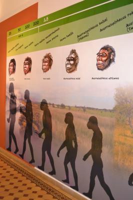 Kiállításrészlet (Egyszer volt... az ősember)