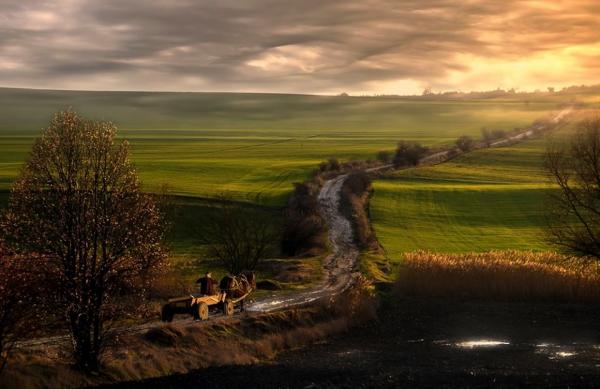 I. helyezett: Szabó Ferenc: Életút