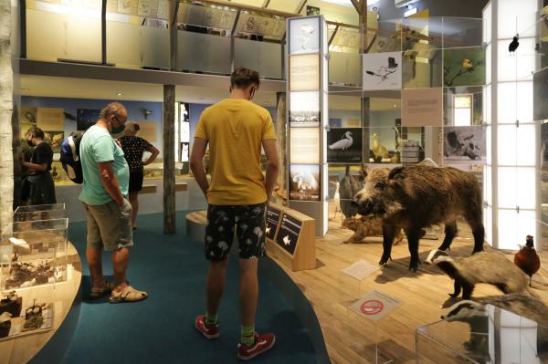 Természettudomány Móra Ferenc Múzeum