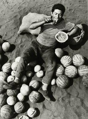 Tóth István: Kóstoló