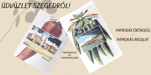Üdvözlet Szegedről