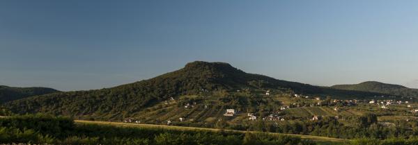 Vinice a filozófia