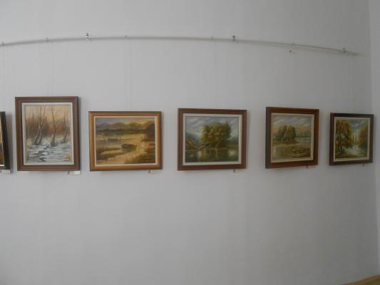 Zsíros Ari 5